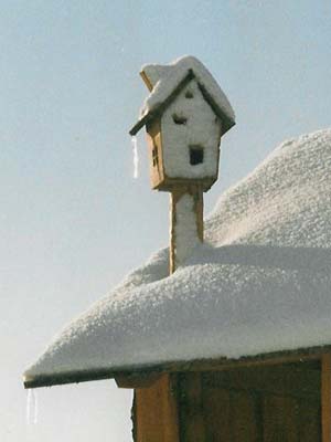 Vogelhaus